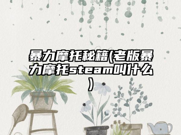 暴力摩托秘籍(老版暴力摩托steam叫什么)