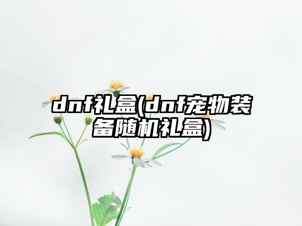 dnf礼盒(dnf宠物装备随机礼盒)
