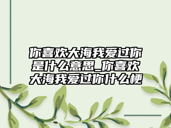 你喜欢大海我爱过你是什么意思_你喜欢大海我爱过你什么梗