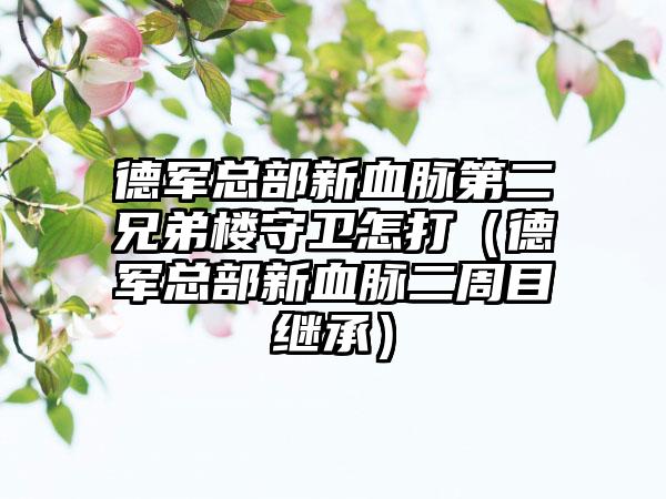 德军总部新血脉第二兄弟楼守卫怎打（德军总部新血脉二周目继承）