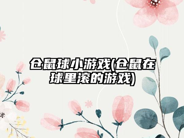 仓鼠球小游戏(仓鼠在球里滚的游戏)