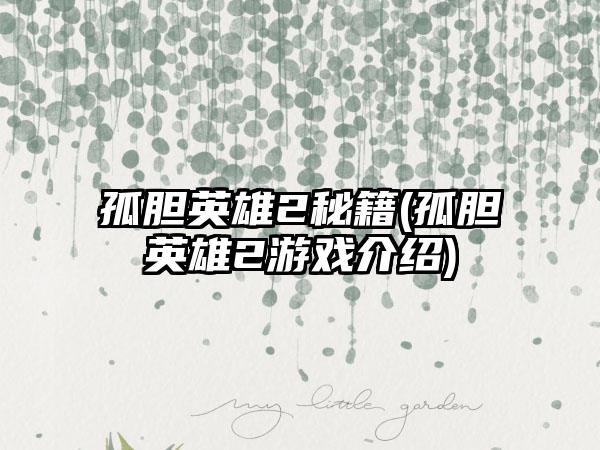 孤胆英雄2秘籍(孤胆英雄2游戏介绍)