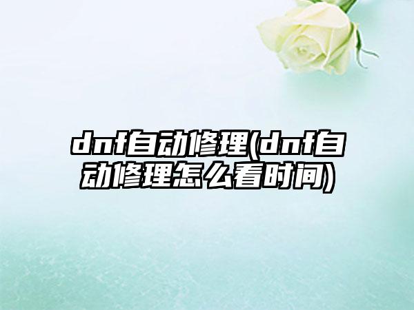 dnf自动修理(dnf自动修理怎么看时间)