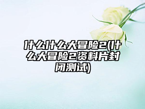 什么什么大冒险2(什么大冒险2资料片封闭测试)