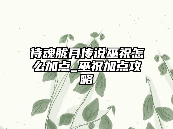 侍魂胧月传说巫祝怎么加点_巫祝加点攻略