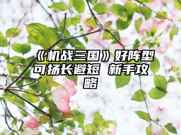 《机战三国》好阵型可扬长避短 新手攻略