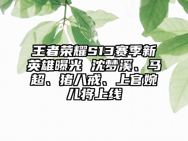 王者荣耀S13赛季新英雄曝光 沈梦溪、马超、猪八戒、上官婉儿将上线