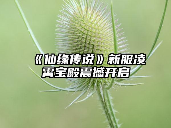 《仙缘传说》新服凌霄宝殿震撼开启