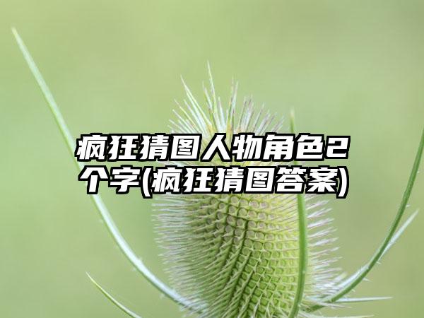 疯狂猜图人物角色2个字(疯狂猜图答案)