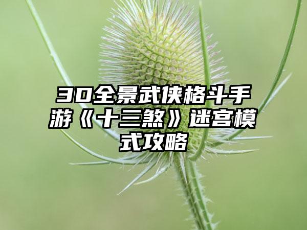 3D全景武侠格斗手游《十三煞》迷宫模式攻略