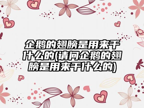 企鹅的翅膀是用来干什么的(请问企鹅的翅膀是用来干什么的)