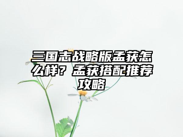 三国志战略版孟获怎么样？孟获搭配推荐攻略