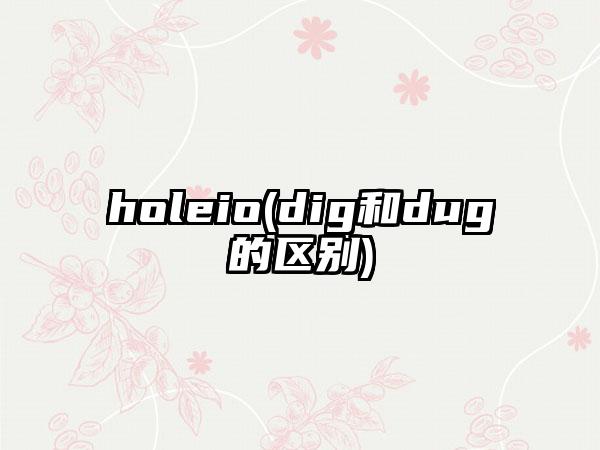holeio(dig和dug的区别)