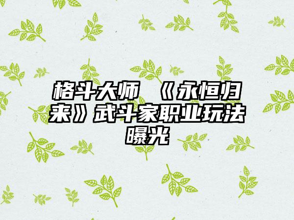 格斗大师 《永恒归来》武斗家职业玩法曝光