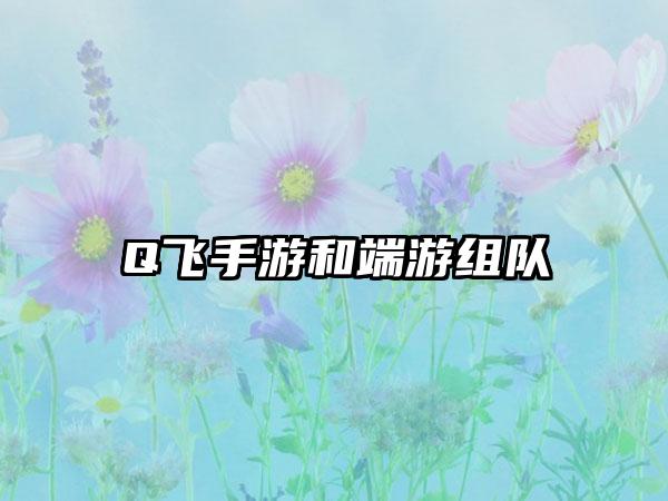Q飞手游和端游组队