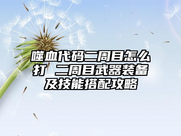 噬血代码二周目怎么打 二周目武器装备及技能搭配攻略