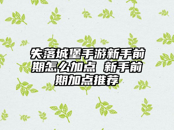 失落城堡手游新手前期怎么加点 新手前期加点推荐