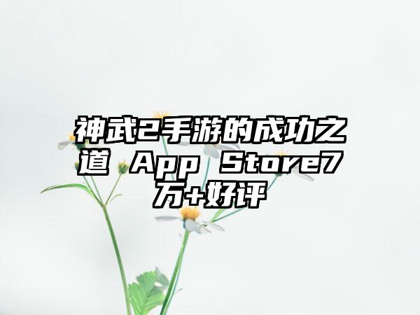 神武2手游的成功之道 App Store7万+好评