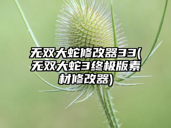 无双大蛇修改器33(无双大蛇3终极版素材修改器)