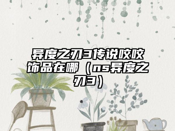 异度之刃3传说咬咬饰品在哪（ns异度之刃3）