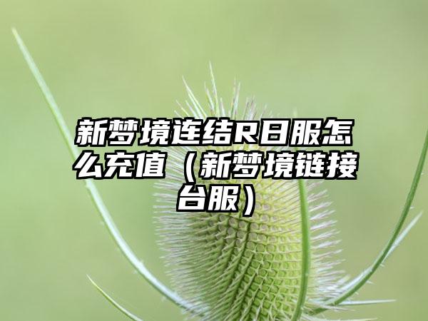 新梦境连结R日服怎么充值（新梦境链接台服）