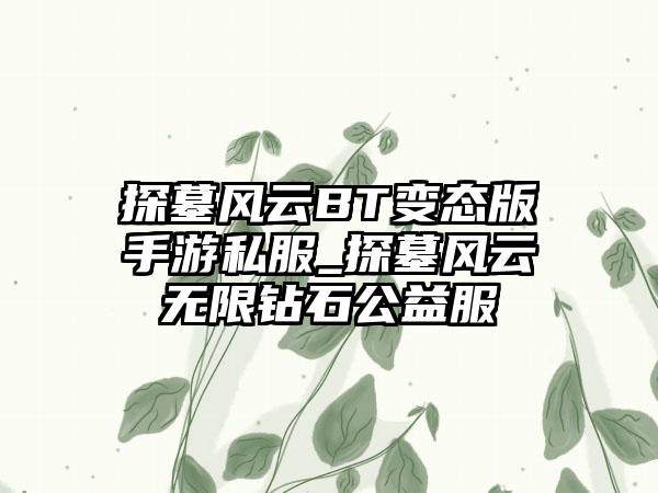 探墓风云BT变态版手游私服_探墓风云无限钻石公益服