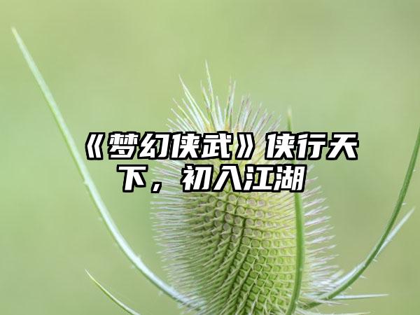 《梦幻侠武》侠行天下，初入江湖