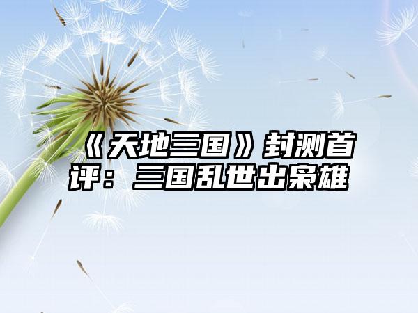 《天地三国》封测首评：三国乱世出枭雄