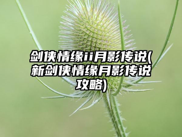 剑侠情缘ii月影传说(新剑侠情缘月影传说攻略)