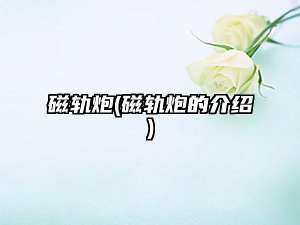 磁轨炮(磁轨炮的介绍)
