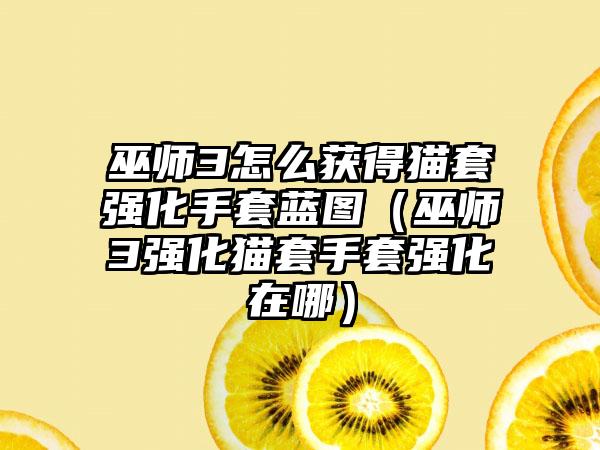 巫师3怎么获得猫套强化手套蓝图（巫师3强化猫套手套强化在哪）