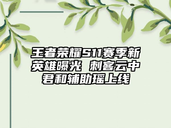 王者荣耀S11赛季新英雄曝光 刺客云中君和辅助瑶上线