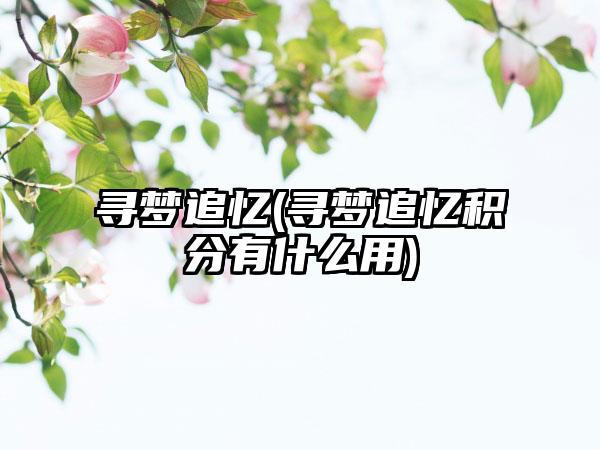 寻梦追忆(寻梦追忆积分有什么用)
