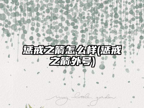 惩戒之箭怎么样(惩戒之箭外号)