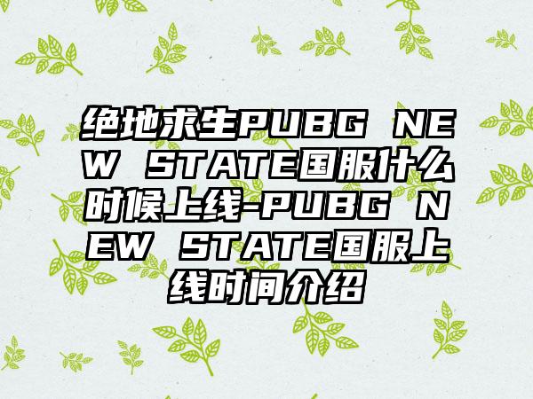 绝地求生PUBG NEW STATE国服什么时候上线-PUBG NEW STATE国服上线时间介绍