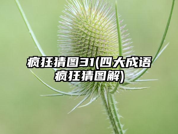 疯狂猜图31(四大成语疯狂猜图解)