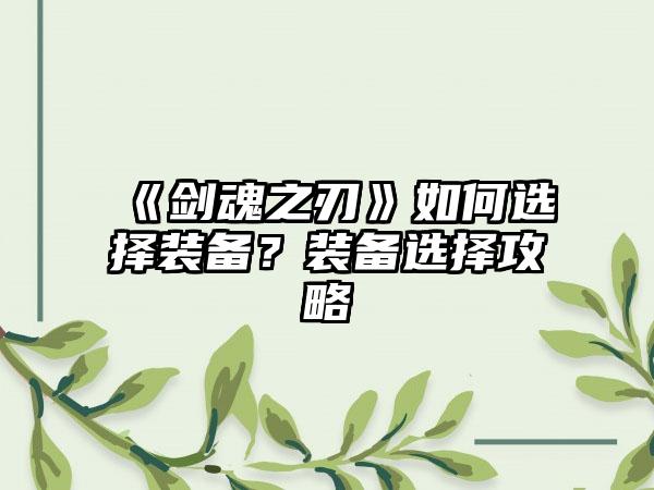 《剑魂之刃》如何选择装备？装备选择攻略