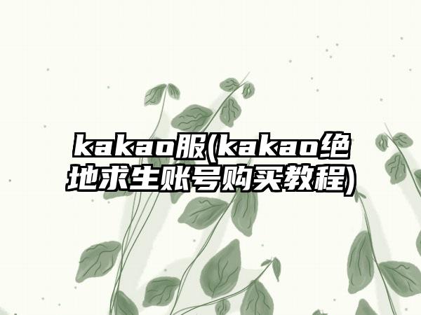 kakao服(kakao绝地求生账号购买教程)