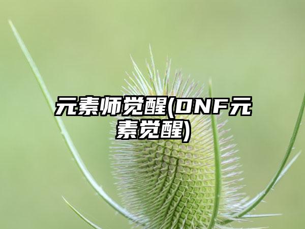 元素师觉醒(DNF元素觉醒)