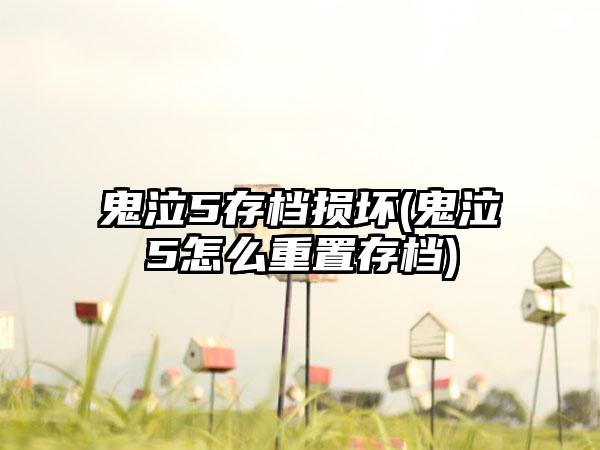 鬼泣5存档损坏(鬼泣5怎么重置存档)