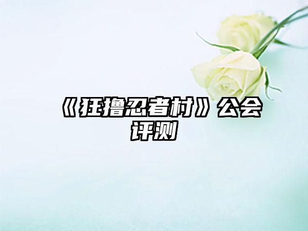 《狂撸忍者村》公会评测