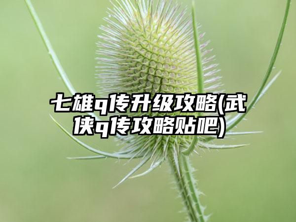 七雄q传升级攻略(武侠q传攻略贴吧)