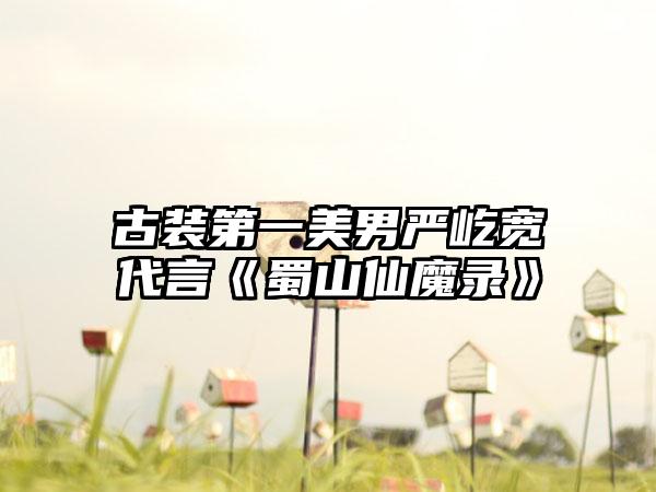 古装第一美男严屹宽代言《蜀山仙魔录》