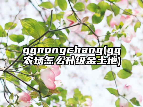 qqnongchang(qq农场怎么升级金土地)