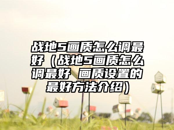 战地5画质怎么调最好（战地5画质怎么调最好 画质设置的最好方法介绍）