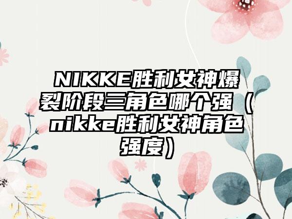 NIKKE胜利女神爆裂阶段三角色哪个强（nikke胜利女神角色强度）
