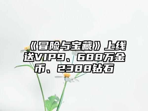 《冒险与宝藏》上线送VIP9、688万金币、2388钻石