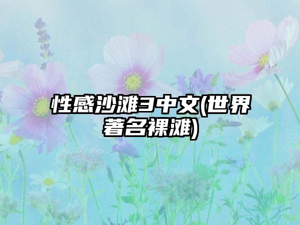 性感沙滩3中文(世界著名裸滩)