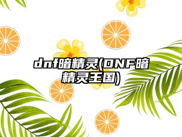 dnf暗精灵(DNF暗精灵王国)