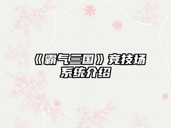 《霸气三国》竞技场系统介绍